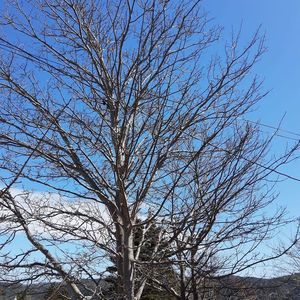 Meet your Posher, Eleanor